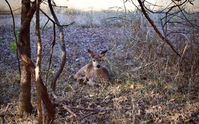 Most People Have No Idea This Wild Green Oasis Is Hiding Right Inside Oklahoma City