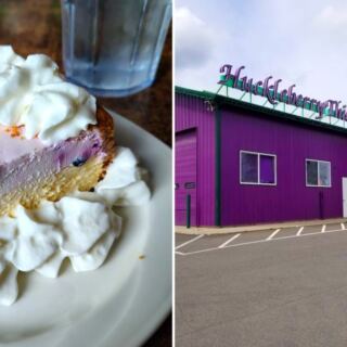 11 Idaho Huckleberry Stops Worth Planning a Road Trip Around