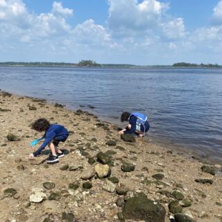5 North Carolina Riverbanks Where You Can Hunt For Fossil Shark Teeth In A Single Afternoon