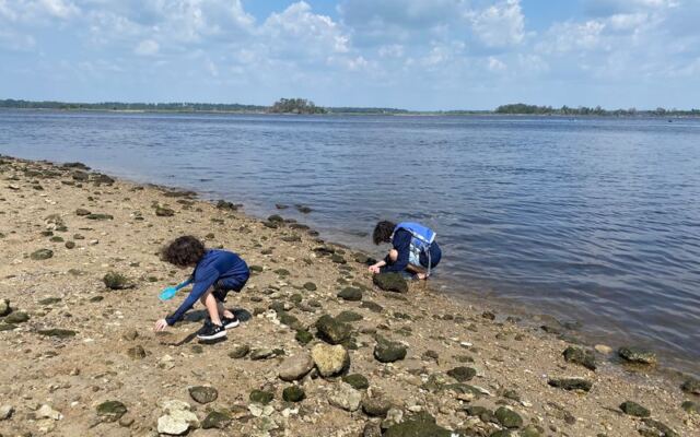 5 North Carolina Riverbanks Where You Can Hunt For Fossil Shark Teeth In A Single Afternoon