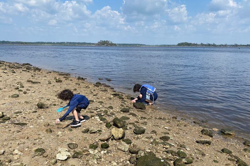 5 North Carolina Riverbanks Where You Can Hunt For Fossil Shark Teeth In A Single Afternoon