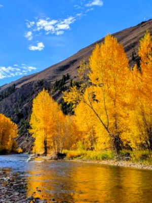 13 Idaho Fall Color Spots That Do Not Require a Tough Hike