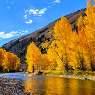 13 Idaho Fall Color Spots That Do Not Require a Tough Hike
