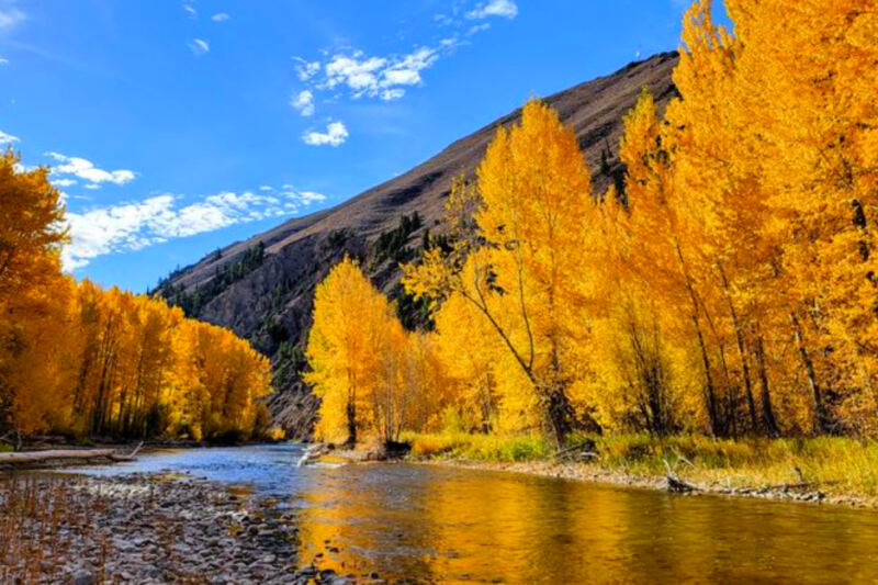 13 Idaho Fall Color Spots That Do Not Require a Tough Hike