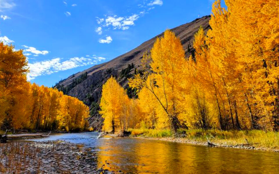 13 Idaho Fall Color Spots That Do Not Require a Tough Hike