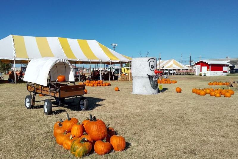 This Oklahoma Pumpkin Patch Near Tulsa Lets You Pick Your Own Straight Off the Vine