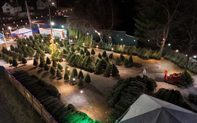 This Charming Massachusetts Farm Lets You Wander The Fields For The Perfect Christmas Tree