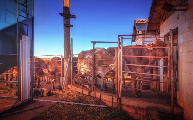 This Family-Run Oklahoma Dairy Just Outside Oklahoma City Sells the Freshest Milk You’ll Ever Taste