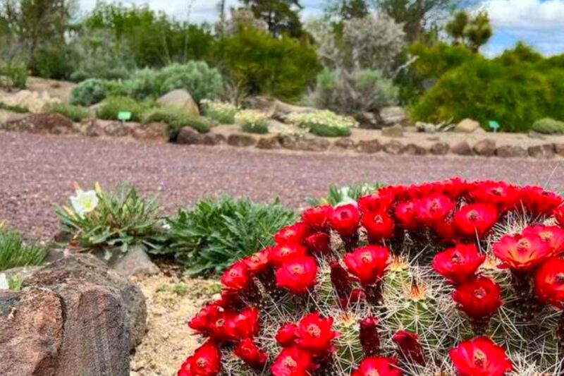 This Twin Falls Garden Features Colorful Blooms and Thoughtfully Designed Outdoor Spaces