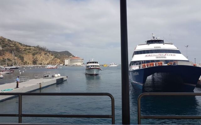 This California Ferry Skips the Airport and Sails You Straight to Catalina Island