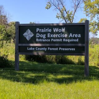 12 Illinois Dog-Friendly Beaches Where Pups Swim, Sniff, And Shake Off Half The Lake