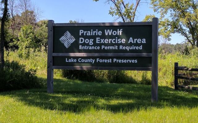 12 Illinois Dog-Friendly Beaches Where Pups Swim, Sniff, And Shake Off Half The Lake