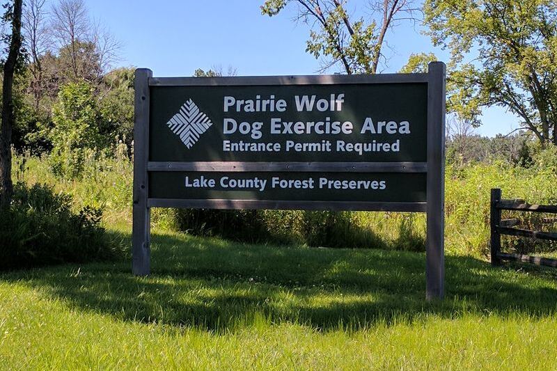 12 Illinois Dog-Friendly Beaches Where Pups Swim, Sniff, And Shake Off Half The Lake