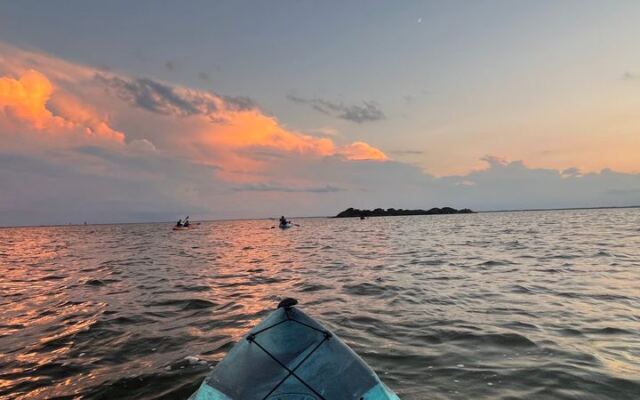 9 Florida Spots Where Your Kayak Paddle Lights Up the Water With Every Stroke