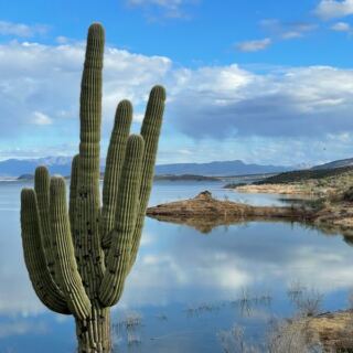 Arizona’s Largest Lake Is a Desert Reservoir Made for Boating, Camping, and Cooling Off