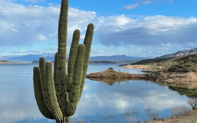 Arizona’s Largest Lake Is a Desert Reservoir Made for Boating, Camping, and Cooling Off