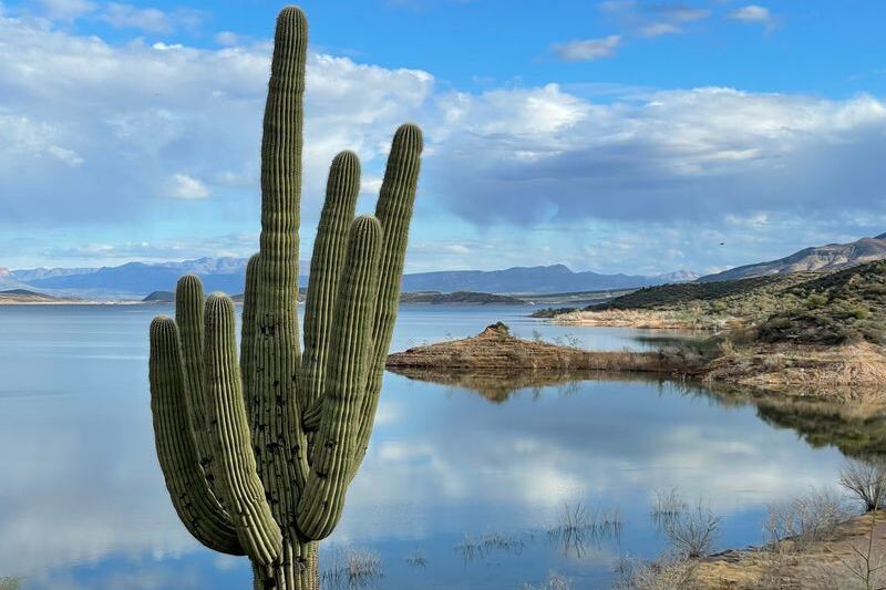 Arizona’s Largest Lake Is a Desert Reservoir Made for Boating, Camping, and Cooling Off