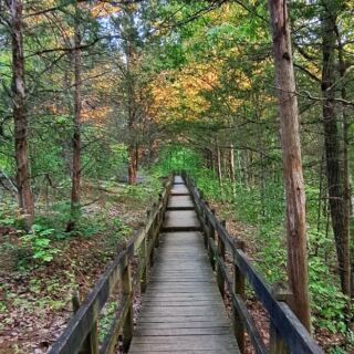 13 Missouri Trails That Lead to Caves, Springs, and Waterfalls