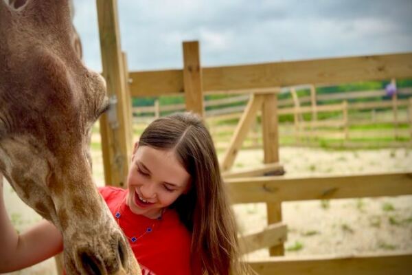 This Oklahoma Wildlife Ranch Lets You Hand-Feed Giraffes and Watch Otters Swim Right Outside Your Window