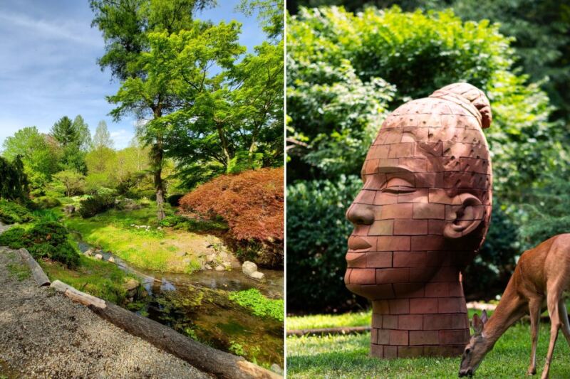 This Free New Jersey Arboretum Turns Ponds And Wooded Paths Into A Sculpture Hunt