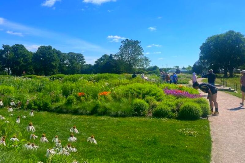 This Free Detroit Garden Was Designed by a World-Famous Landscape Architect – and Most People Miss It