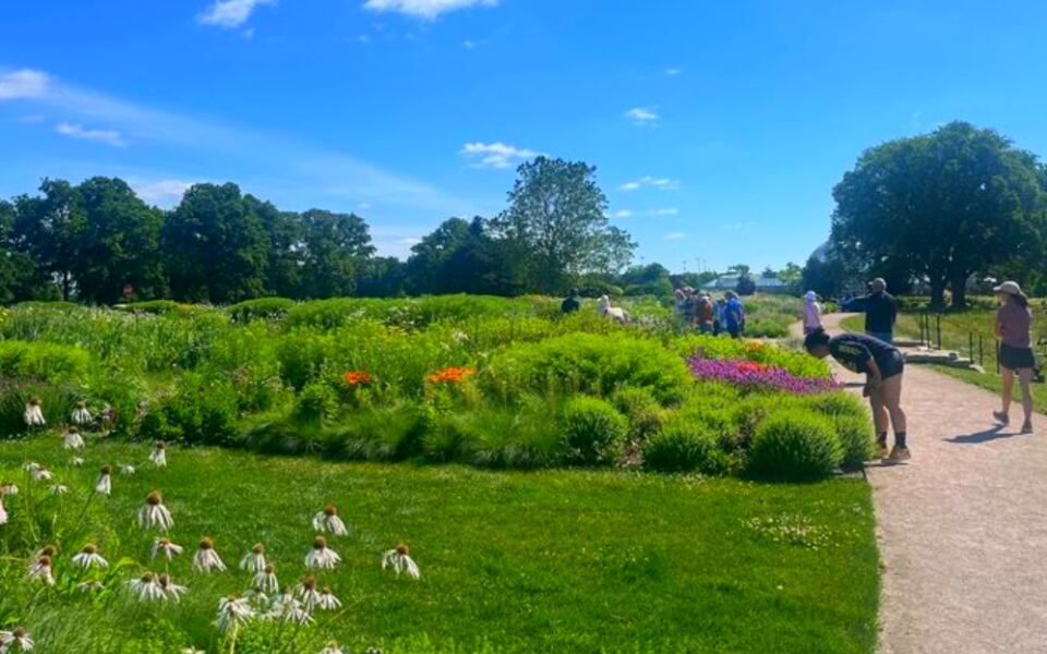 This Free Detroit Garden Was Designed by a World-Famous Landscape Architect – and Most People Miss It