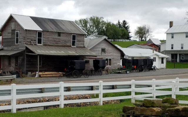 This Tiny Amish Town In Ohio Bakes Pies So Good They Ruin Every Other Slice For You