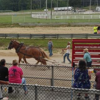 This Middleburg Heights Fairground Hosts A Scottish Highland Games Complete With Real Jousting