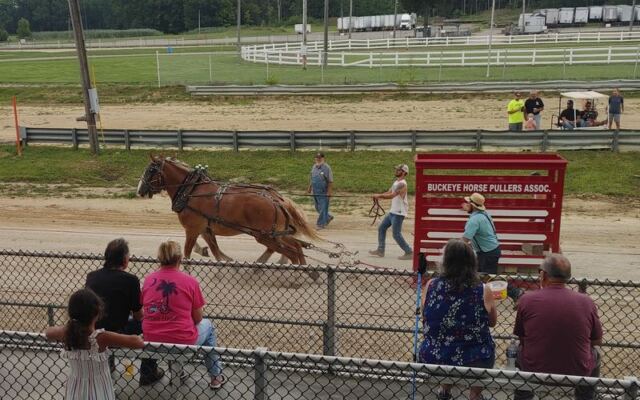This Middleburg Heights Fairground Hosts A Scottish Highland Games Complete With Real Jousting