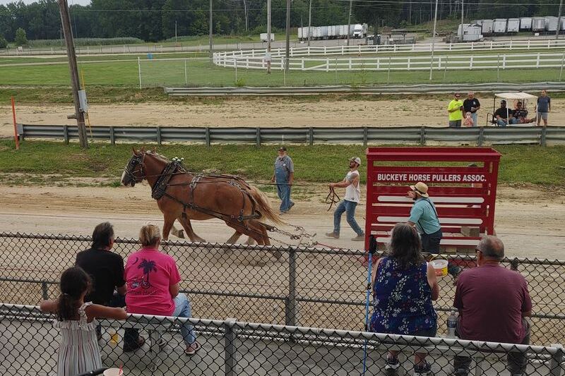 This Middleburg Heights Fairground Hosts A Scottish Highland Games Complete With Real Jousting