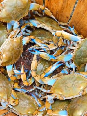 12 Delaware Restaurants Where Blue Crabs Are the Main Event