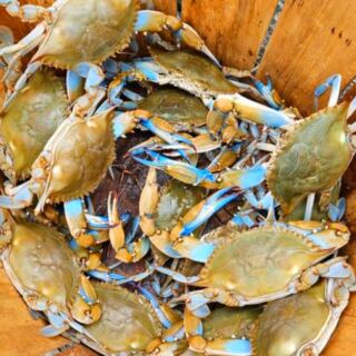 12 Delaware Restaurants Where Blue Crabs Are the Main Event