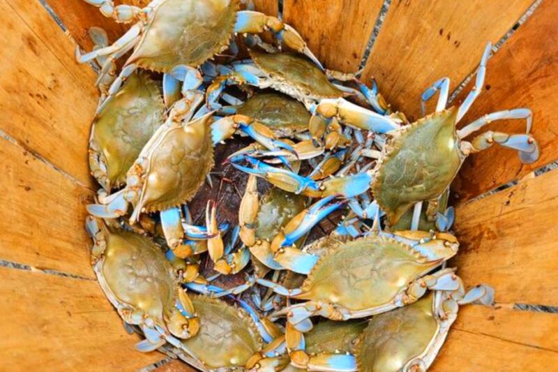 12 Delaware Restaurants Where Blue Crabs Are the Main Event