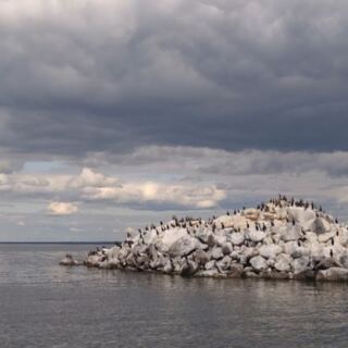 America’s Smallest National Wildlife Refuge Is Hiding In A Minnesota Lake