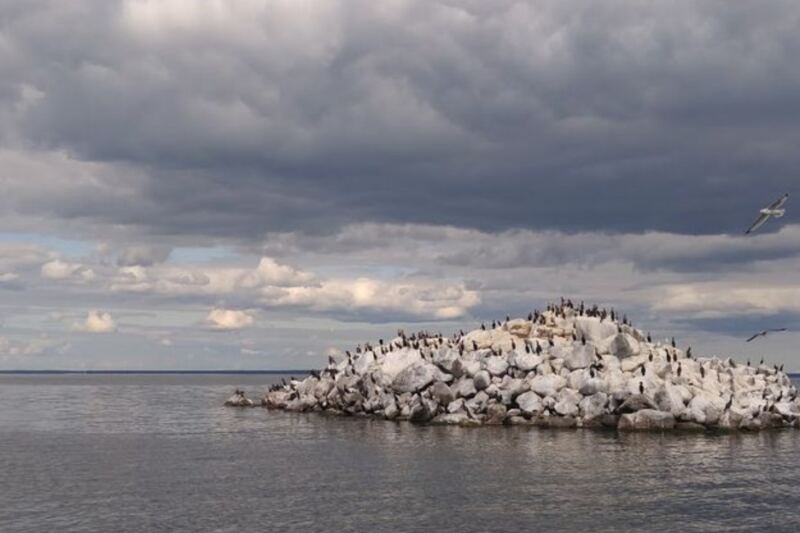 America’s Smallest National Wildlife Refuge Is Hiding In A Minnesota Lake