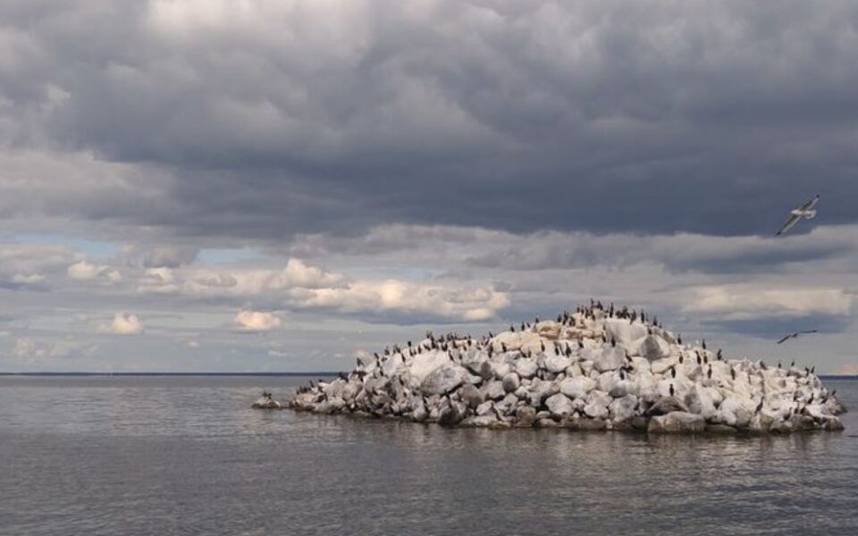 America’s Smallest National Wildlife Refuge Is Hiding In A Minnesota Lake