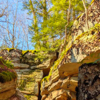 This Remote Pennsylvania Park Has an 800-Foot Gorge, Rocky Trails, and Almost No Cell Service