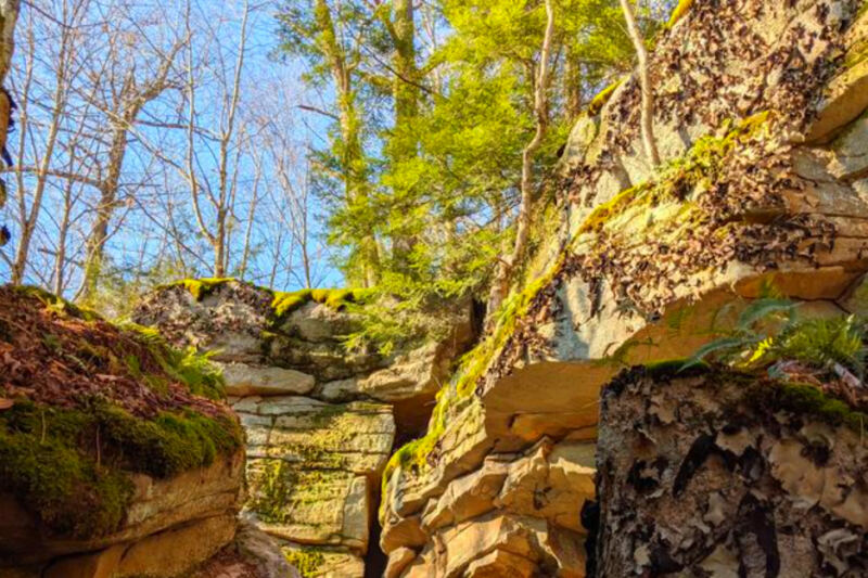 This Remote Pennsylvania Park Has an 800-Foot Gorge, Rocky Trails, and Almost No Cell Service