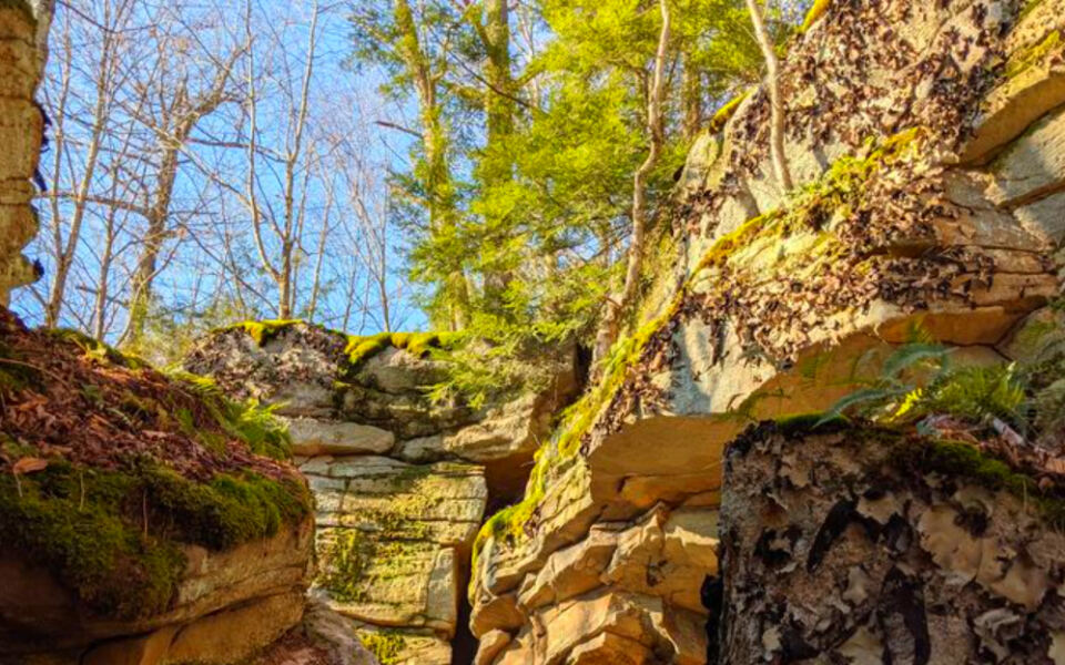 This Remote Pennsylvania Park Has an 800-Foot Gorge, Rocky Trails, and Almost No Cell Service