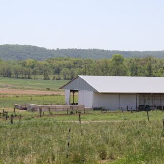 This New Jersey Water Buffalo Farm Makes Mozzarella Creamy Enough To Plan Cheese Night Around