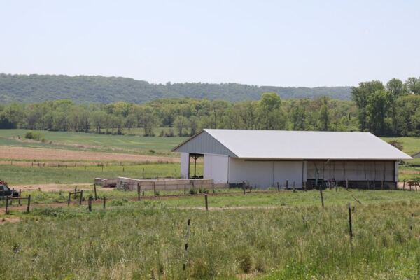 This New Jersey Water Buffalo Farm Makes Mozzarella Creamy Enough To Plan Cheese Night Around