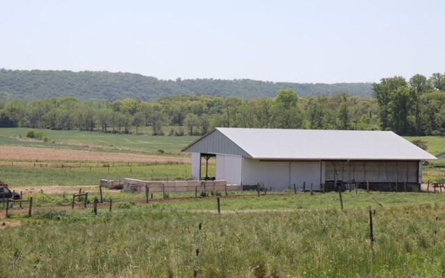 This New Jersey Water Buffalo Farm Makes Mozzarella Creamy Enough To Plan Cheese Night Around