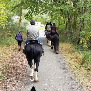 This New Jersey Farm Lets You Ride a Clydesdale That Makes Trail Horses Look Tiny