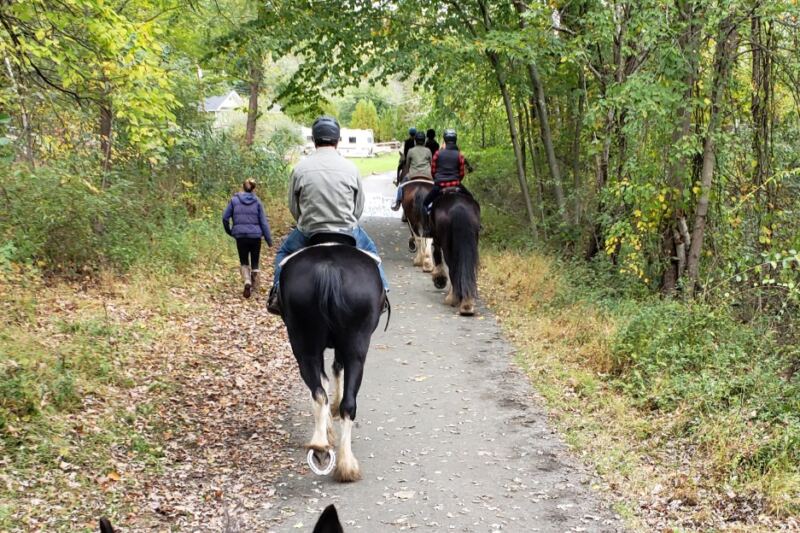 This New Jersey Farm Lets You Ride a Clydesdale That Makes Trail Horses Look Tiny