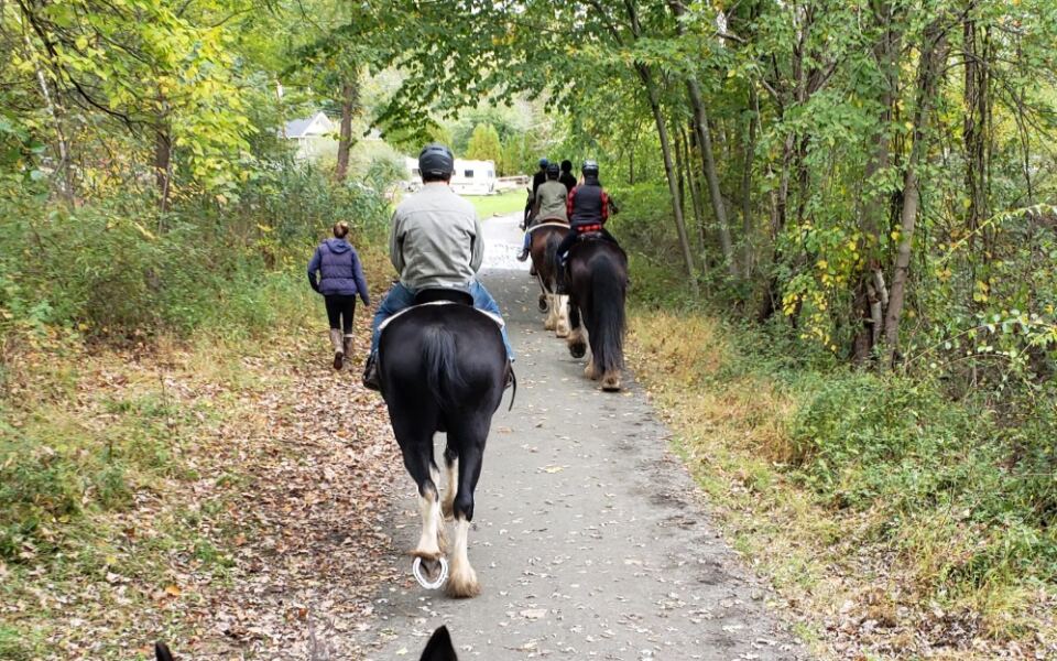 This New Jersey Farm Lets You Ride a Clydesdale That Makes Trail Horses Look Tiny