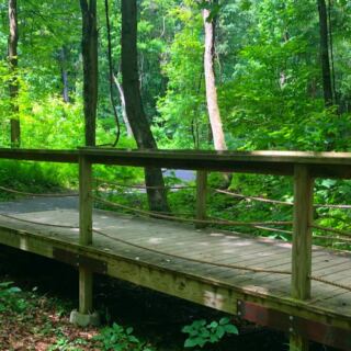This Little-Known Pennsylvania Park Has a Shaded 1.7-Mile Trail