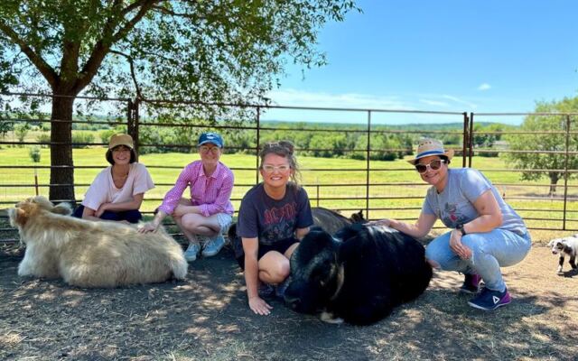 This Oklahoma Farm Lets You Cuddle Fluffy Highland Cows on a Breezy Hilltop