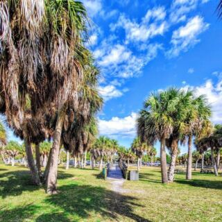 10 Things You Need to Do in Dunedin Before You Ever Hop a Ferry to Its Islands