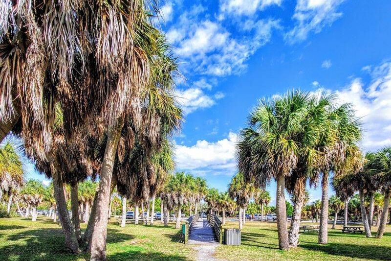 10 Things You Need to Do in Dunedin Before You Ever Hop a Ferry to Its Islands