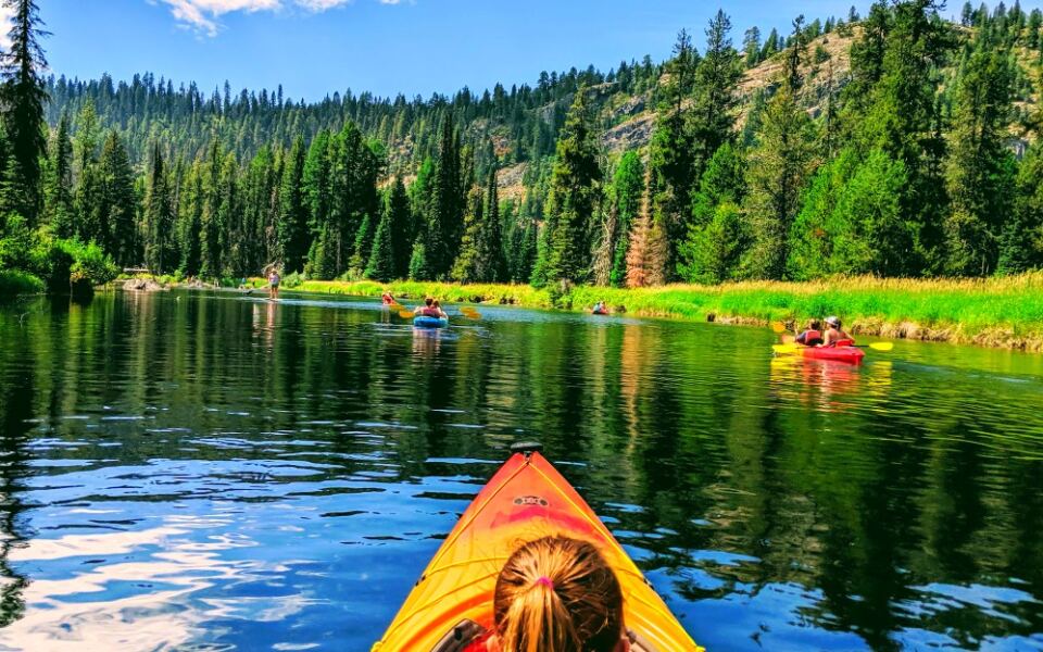 This Idaho State Park Has 150-Foot Pines and Payette Lake Views